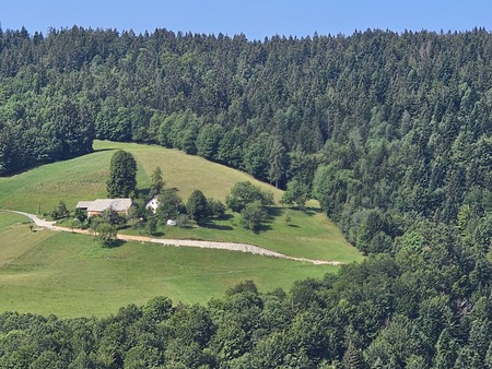 Petačev graben (3.,4. faza)