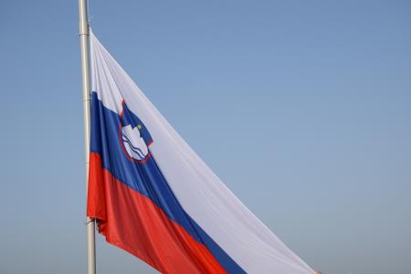 Slovenska zastava